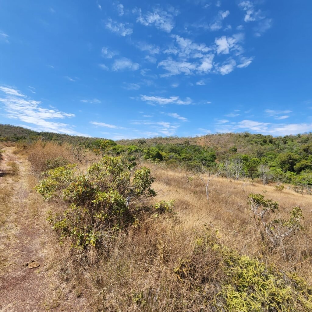 Fazenda 100ha- Rio – Casa Sede – 13km de Alto Paraíso e 1km de Terra