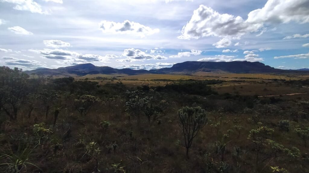 Chácara com Rio Almecegas – Vale verde – 15ha – 15km de Alto Paraíso de Goiás, Sentido Pousada Inacia