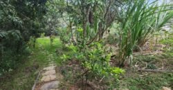 Casa – Rio – Lote 9.000 m2 – Alto Paraíso de Goiás