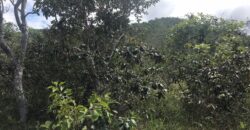 Chácara Suçuarana com RIO, Próximo a Cachoeira do Poço Encantado – Chapada dos Veadeiros