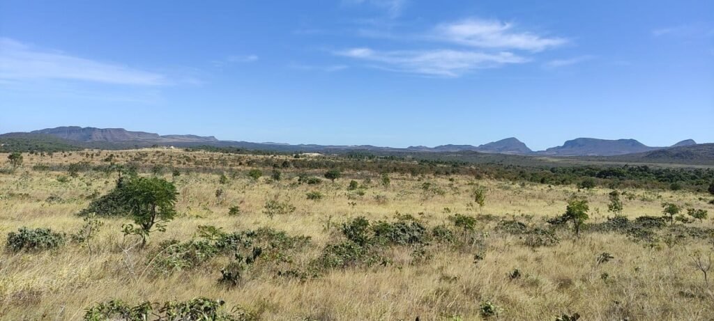 Chácara 5ha – na  Fazenda São Bento – entre Alto Paraíso e São Jorge