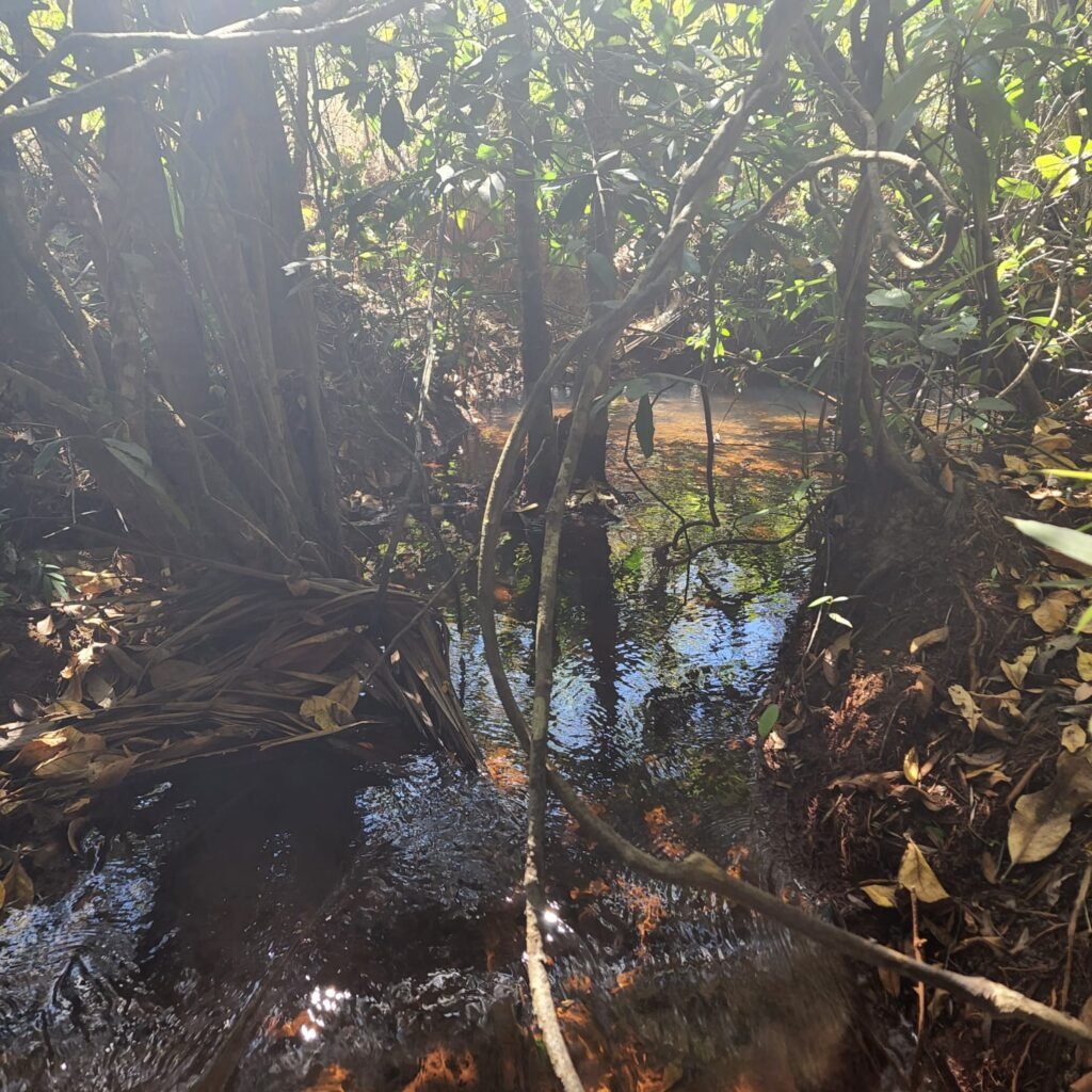Fazenda 100ha- Rio – Casa Sede – 13km de Alto Paraíso e 1km de Terra