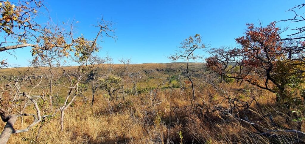 Linda Chácara 5ha – Acesso ao Rio – 16 km de Alto Paraíso