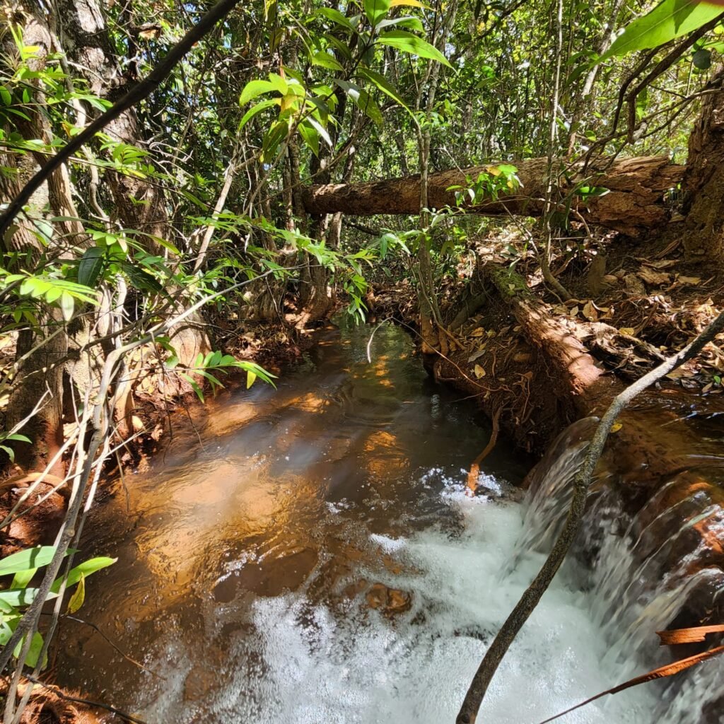 Fazenda 100ha- Rio – Casa Sede – 13km de Alto Paraíso e 1km de Terra