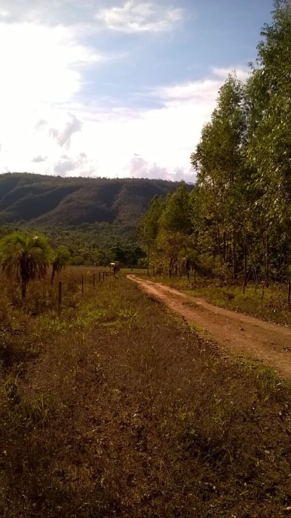Chácara 14,6ha- Linda Vista – Poço artesiano – na Fazenda Santa Rita – 14km de Alto Paraíso de Goiás