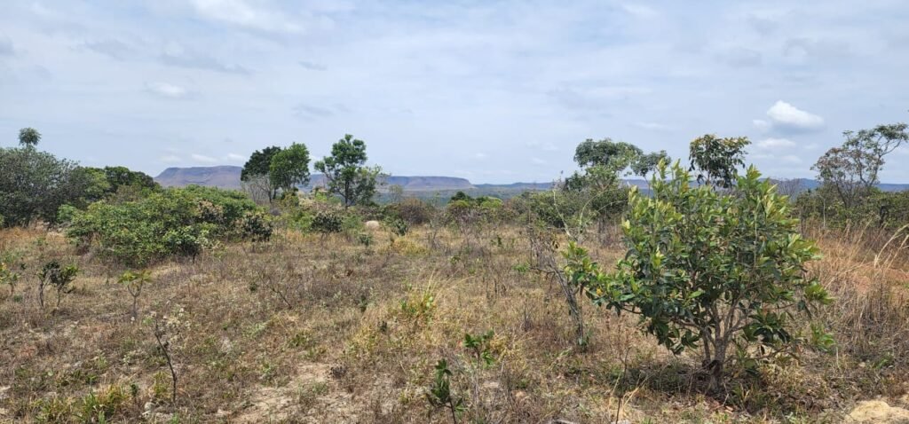 Chácara 4 ha – 13 km de Alto Paraíso sentido São Jorge