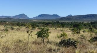 Chácara 5ha – na  Fazenda São Bento – entre Alto Paraíso e São Jorge