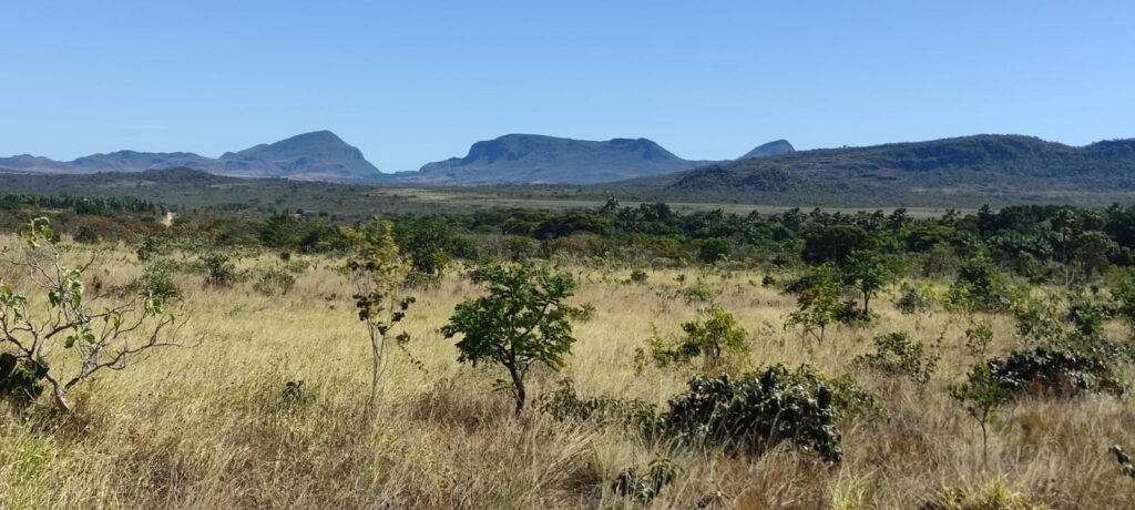 Chácara 5ha – na  Fazenda São Bento – entre Alto Paraíso e São Jorge