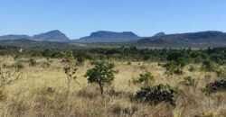 Chácara 5ha – na  Fazenda São Bento – entre Alto Paraíso e São Jorge