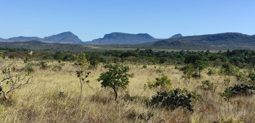 Chácara 5ha – na  Fazenda São Bento – entre Alto Paraíso e São Jorge