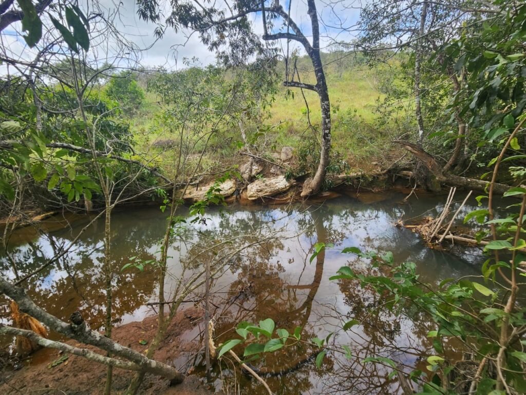 Casa – Rio – área 3,5ha – 9 km da Cachoeira Macaquinhos – Povoado Vereda – Alto Paraíso de Goiás