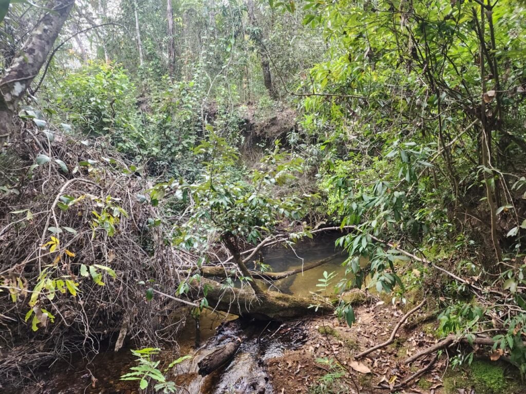 Chácara 5,30ha – Rio – Morro da Baleia – 13 km de Alto Paraíso de Goiás sentido São Jorge