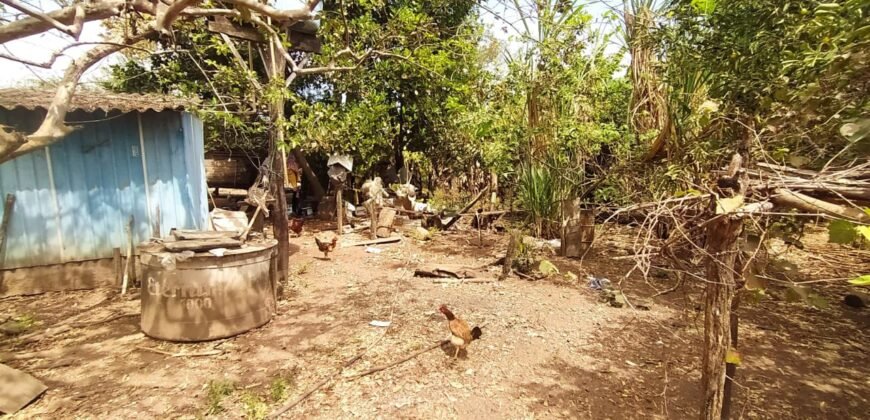 Fazenda 51ha – Beira Rio – Sertão – Alto Paraíso de Goiás