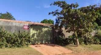 Casa – Quintal com Fruteiras – Monte Sinai – Alto Paraíso de Goiás Casa – Quintal com Fruteiras – Monte Sinai – Alto Paraíso de Goiás