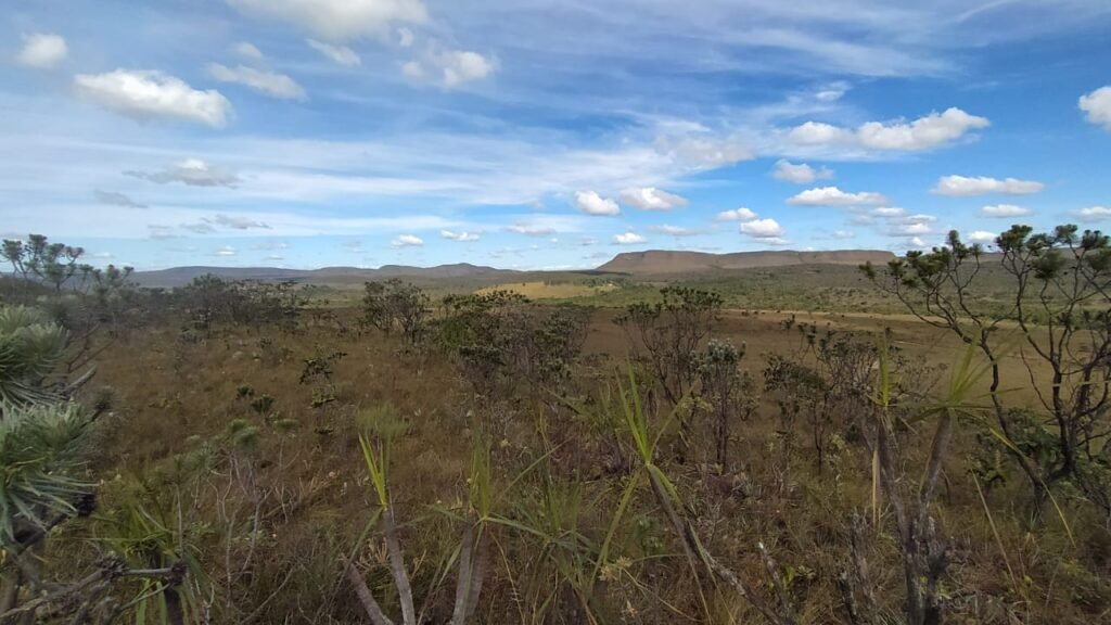 Chácara com Rio Almecegas – Vale verde – 15ha – 15km de Alto Paraíso de Goiás, Sentido Pousada Inacia