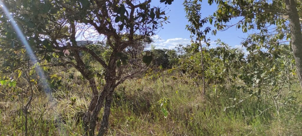 Lote 574m2 – R. dos Vinhaticos – Eldorado – Alto Paraíso de Goiás
