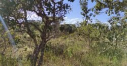 Lote 574m2 – R. dos Vinhaticos – Eldorado – Alto Paraíso de Goiás Lote 574m2 – R. dos Vinhaticos – Eldorado – Alto Paraíso de Goiás