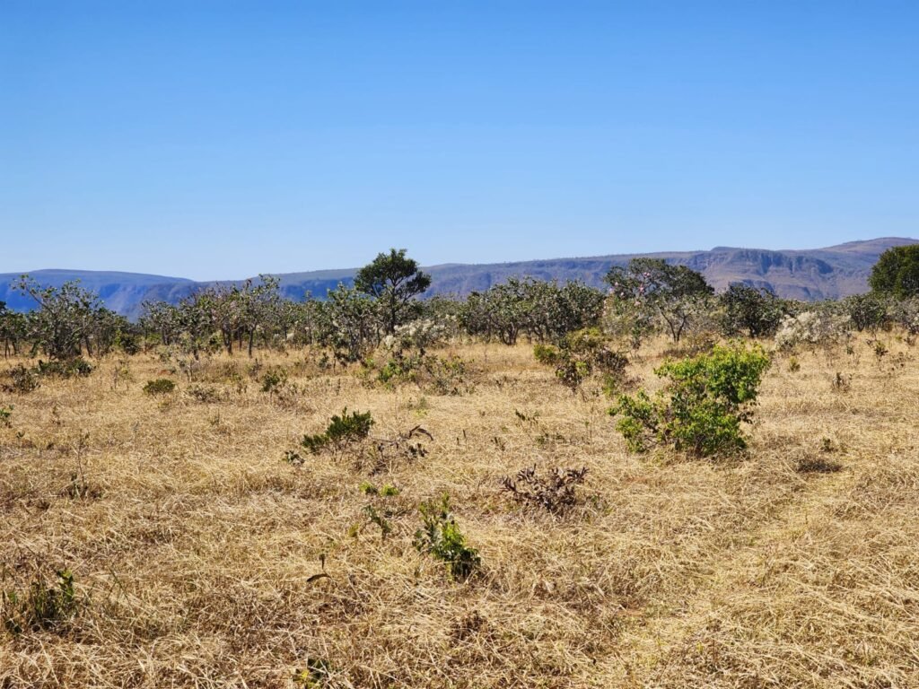 Chácara 4ha – Poço artesiano – 5km de Alto Paraíso sentido Cachoeira dos Cristais – Chapada dos Veadeiros