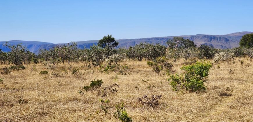 Chácara 4ha – Poço artesiano – 5km de Alto Paraíso sentido Cachoeira dos Cristais – Chapada dos Veadeiros