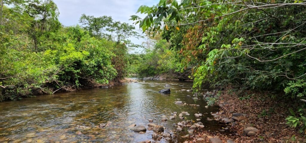 Chácara 4ha Beira Rio São Miguel – 17km de São Jorge – Chapada dos Veadeiros