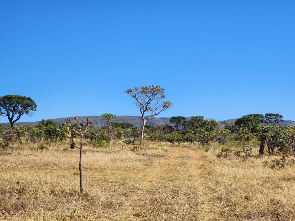 Chácara 4ha – Poço artesiano – 5km de Alto Paraíso sentido Cachoeira dos Cristais – Chapada dos Veadeiros