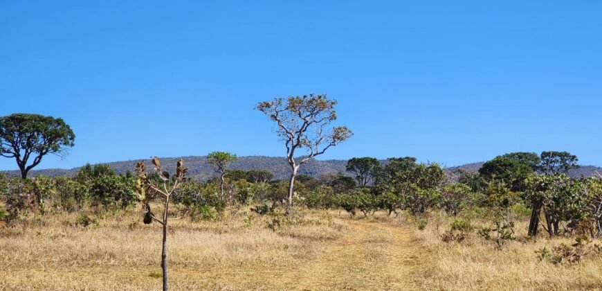 Chácara 4ha – Poço artesiano – 5km de Alto Paraíso sentido Cachoeira dos Cristais – Chapada dos Veadeiros