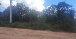 Lote 528m2 – R. Cadido Paulino – Eldorado – Alto Paraíso
