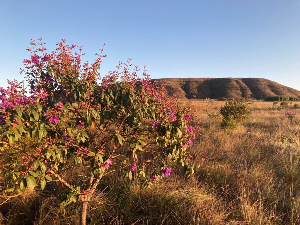 Chácara 4ha – Vale Verde – Próximo à Pousada Inácia – Alto Paraíso de Goiás
