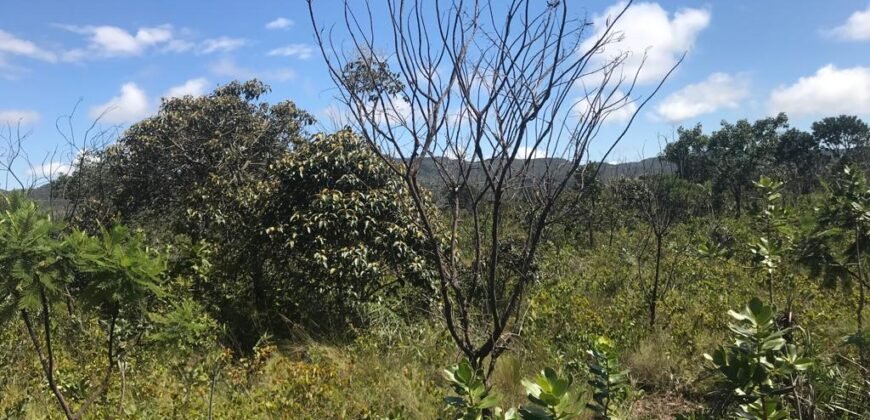 Chácara 4ha – 4km de Alto Paraíso Sentido Cachoeira dos Cristais