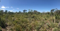 Chácara 4ha – 4km de Alto Paraíso Sentido Cachoeira dos Cristais