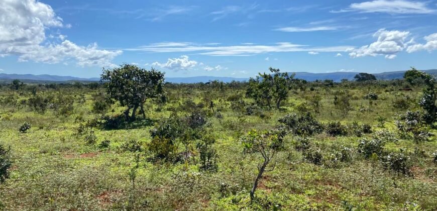 Chácara 4ha – Poço artesiano – 5km de Alto Paraíso sentido Cachoeira dos Cristais – Chapada dos Veadeiros
