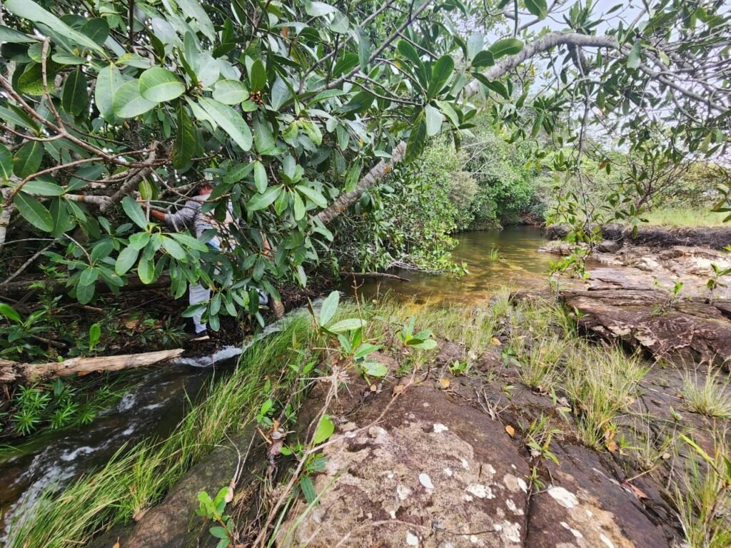 Chácara – Porteira Fechada – Rio – 5.7ha -Vale Verde – Alto Paraíso de Goiás
