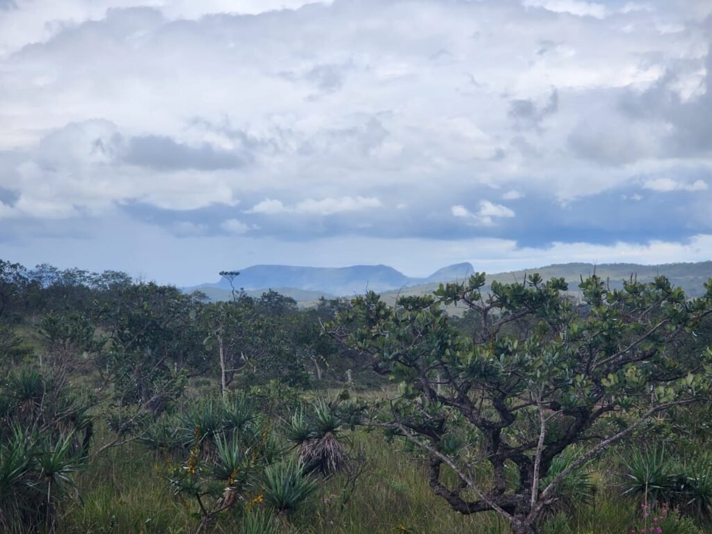 Chácara – Porteira Fechada – Rio – 5.7ha -Vale Verde – Alto Paraíso de Goiás