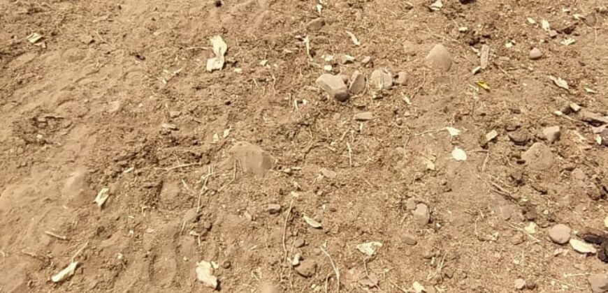 Fazenda 51ha – Beira Rio – Sertão – Alto Paraíso de Goiás