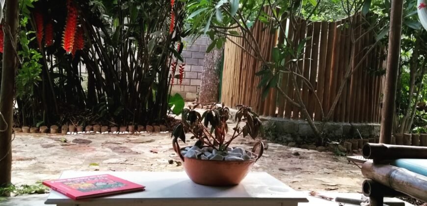 Casa – Rua da Palha – Centro – Alto Paráiso de Goiás