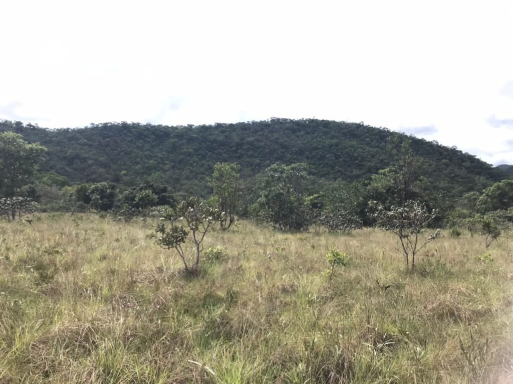 Chácara Suçuarana com acesso ao rio, Próximo a Cachoeira do Poço Encantado – Chapada dos Veadeiros