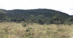 Chácara Suçuarana com RIO, Próximo a Cachoeira do Poço Encantado – Chapada dos Veadeiros
