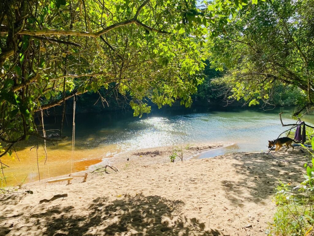 Pousada – Rio – Poço para Banho – Moinho – 4.000m2 – 12km de Alto Paraíso de Goiás