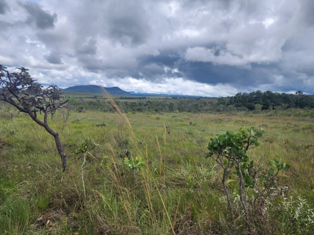 Chácara – Porteira Fechada – Rio – 5.7ha -Vale Verde – Alto Paraíso de Goiás
