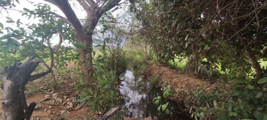 Maravilhosa Chácara 20ha – Recifra – Alto Paraíso de Goiás