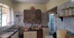 Casa – Quintal com Fruteiras – Monte Sinai – Alto Paraíso de Goiás