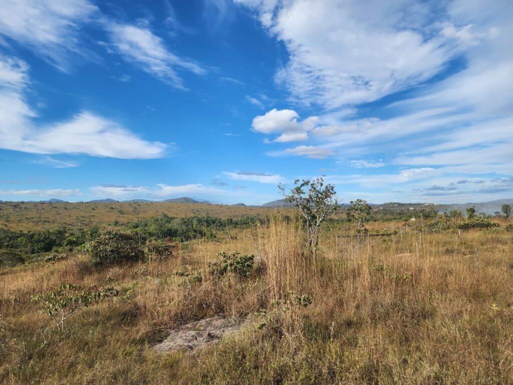 Chácara 5,30ha – Rio – Morro da Baleia – 13 km de Alto Paraíso de Goiás sentido São Jorge