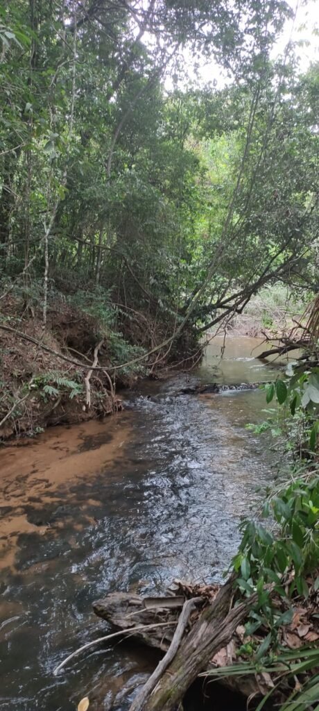 Maravilhosa Chácara 20ha – Recifra – Alto Paraíso de Goiás