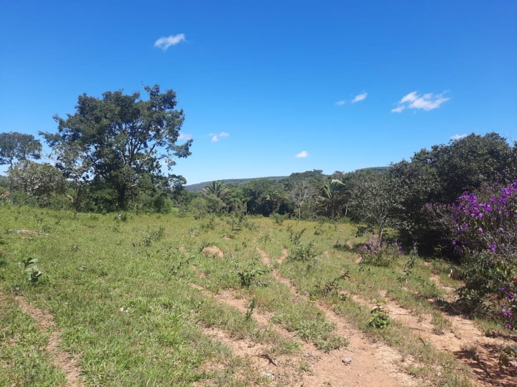 Chácara 2.7 Alq. – Povoado Bandeira – Rio – Nascente – 24km de Alto Paraíso de Goiás