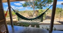 Maravilhosa Casa – pegada ecológica – 2,5km de Cavalcante/GO sentido Cachoeira Santa Barbara – Chapada dos Veadeiros Maravilhosa Casa – pegada ecológica – 2,5km de Cavalcante/GO sentido Cachoeira Santa Barbara – Chapada dos Veadeiros