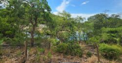 Chácara 4ha com Rio – 6km de Terezina de Goiás – Chapada dos Veadeiros