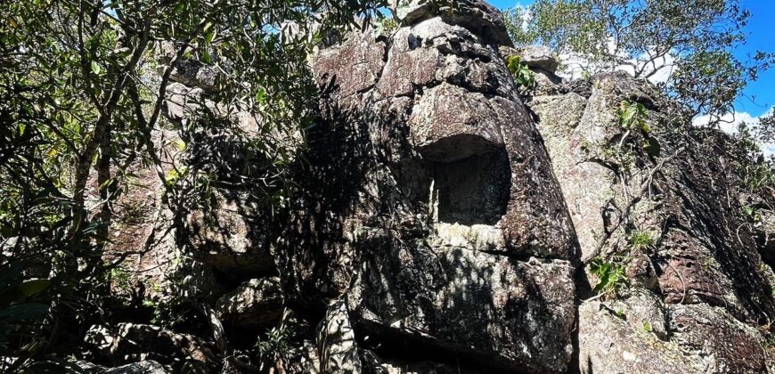 Chácara 7ha – Sentido Cachoeira dos Cristais – Alto Paraíso de Goiás
