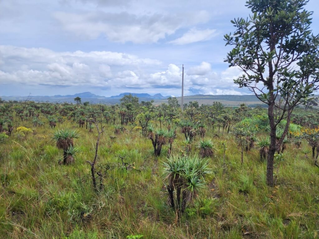 Chácara – Porteira Fechada – Rio – 5.7ha -Vale Verde – Alto Paraíso de Goiás