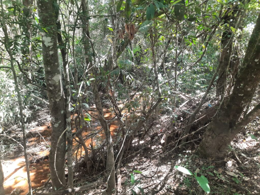 Chácara 2.7 Alq. – Povoado Bandeira – Rio – Nascente – 24km de Alto Paraíso de Goiás