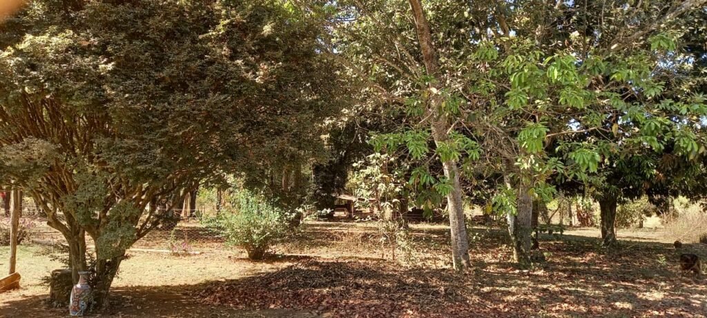 Fazenda 100ha- Rio – Casa Sede – 13km de Alto Paraíso e 1km de Terra